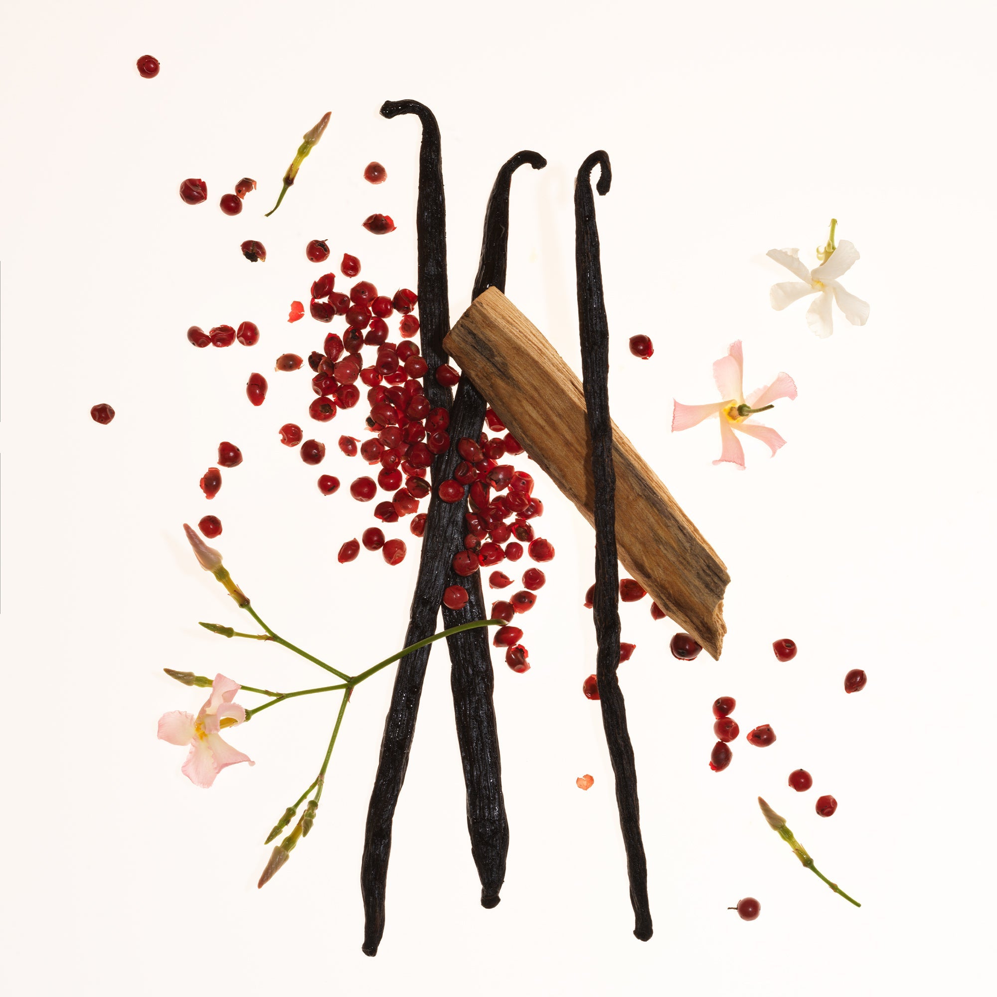 Vanilla beans, pink peppercorns and sandalwood, the ingredients of Vanilla Skin