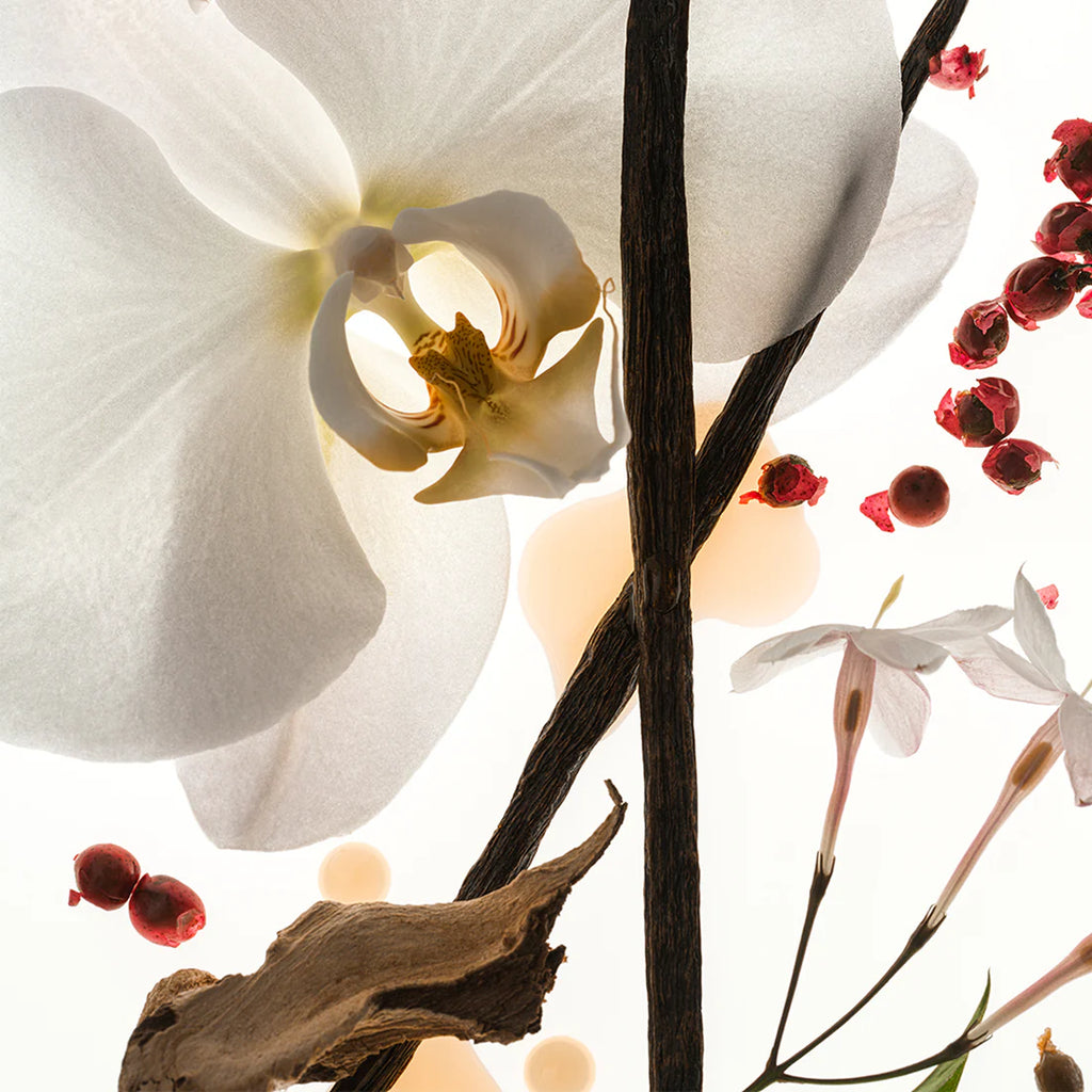 Phlur Vanilla Skin Body Oil